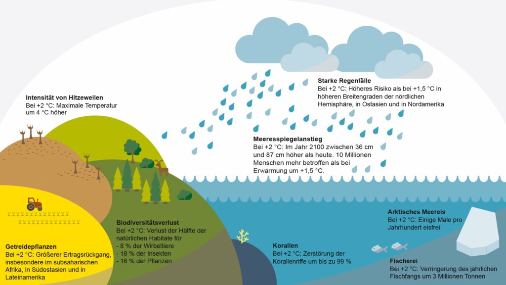 Philografina, Janina Steger, Portfolio Infografik, Klimwandel