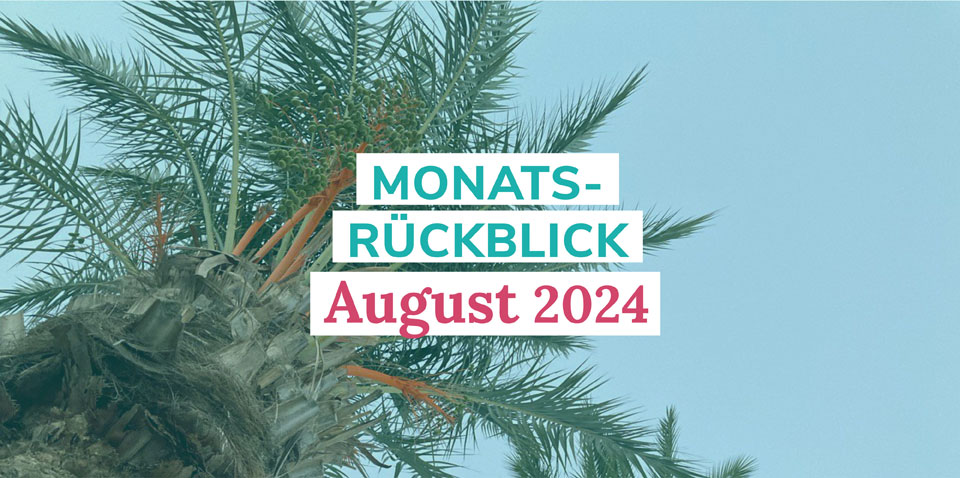 Monatsrückblick August 2024, Palmen im Hintergrund zu sehen